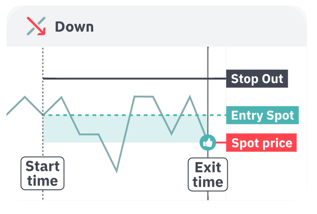 Multipliers Down success scenario showing price falling with amplified profit from multiplier factor