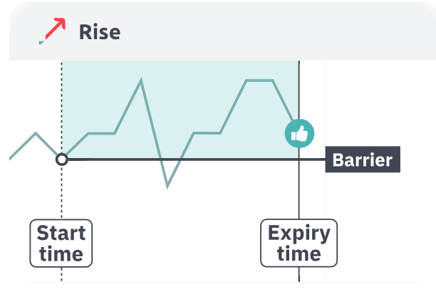 Rise success scenario showing price above barrier at expiry with thumbs up
